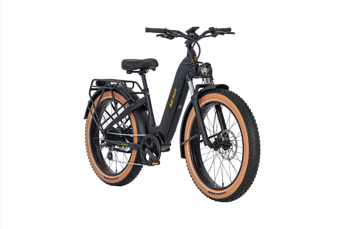 AIMA Big Sur Ebike AIMA Ebike